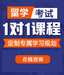 大鸡巴操逼视频一区留学考试一对一精品课